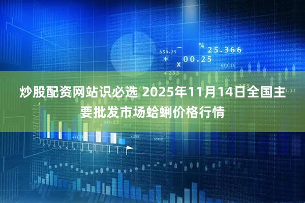 炒股配资网站识必选 2025年11月14日全国主要批发市场蛤蜊价格行情
