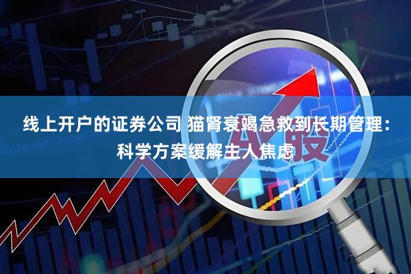 线上开户的证券公司 猫肾衰竭急救到长期管理：科学方案缓解主人焦虑