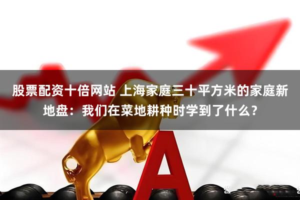 股票配资十倍网站 上海家庭三十平方米的家庭新地盘：我们在菜地耕种时学到了什么？